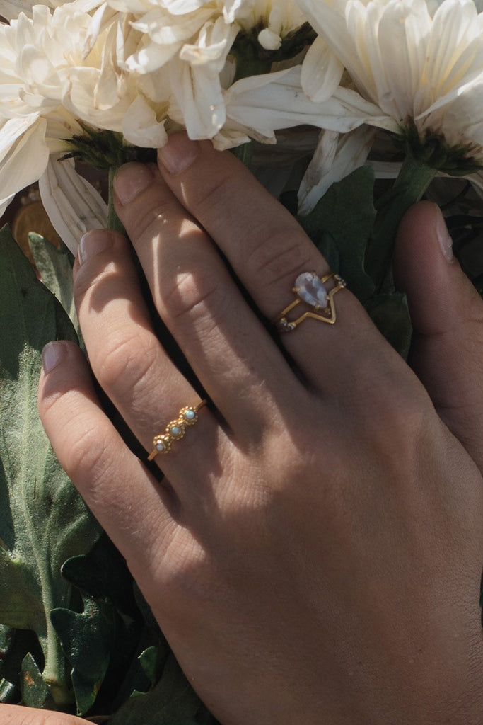 PIXIE Ring